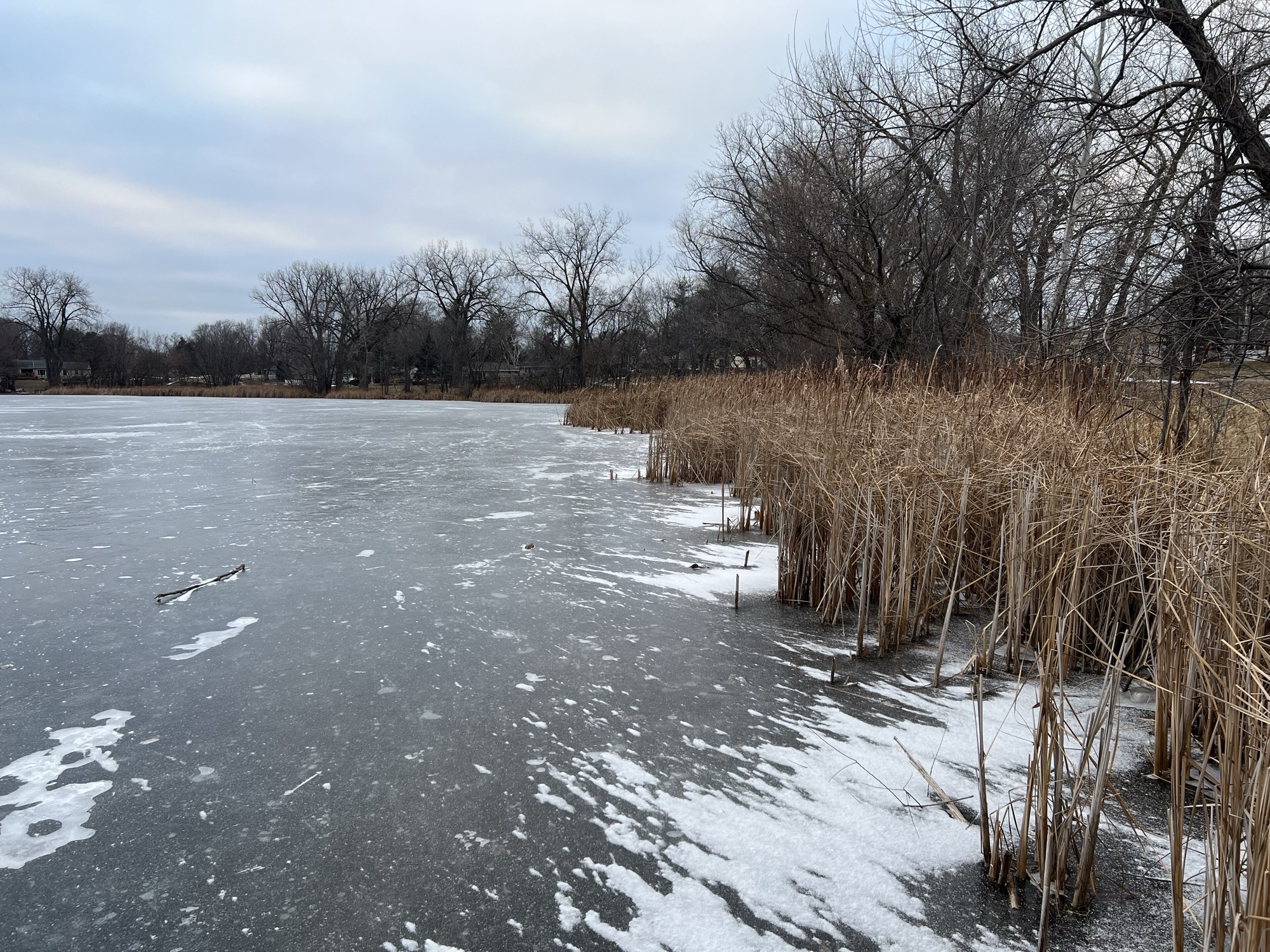 Maplewood, MN — view of Maplewood